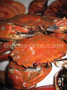 Mariscada para 2 personas en la Tasca el Majao por sólo 19,95 € ¡Viva Cucharete! - © Cucharete.com